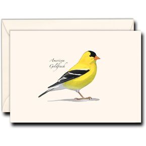 Earth Sky + Water - Sibley’s American Goldfinch Notecard Set - 8 Blank Cards with Envelopes