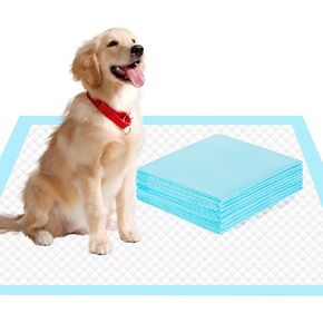 22" x 23" Pee Pads for Dogs, 6 Layers Super Absorbent, Leak Proof Quick Drying Pet Pee Pads, Training Puppy Pads - 10 Count