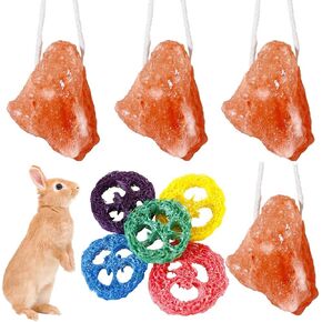 4 Pcs Rabbit Salt Lick and 5 Pcs Loofah Chew Toys Himalayan Salt Block Natural Small Animal Mineral Salt Chew Toys with Rope Rabbit Chew Toys Hamster Chew Toys Bunny Toys Rabbit Toys