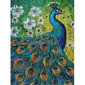 Generic Flower Peacock Latch Hook Kits Rug DIY Cushion Tapestry Making Crochet Hook Mat Making Kits Color Preprinted Pattern Canvas DIY Carpet Needlework Crochet Kits 52x38cm (series-95)