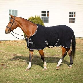 Equinavia Norse Anti-Pill Fleece Cooler | بطانة بطانية للخيول - الأسود/العنب الأرجواني - 78 في