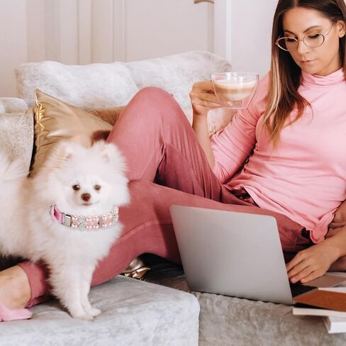 Hicarer 2 Pcs Small Dog Cat Pearl Collars and Pearl Necklace Set Cute Pet PU Leather Collars Necklace with Crystal Rhinestone for Dogs Cats Puppy Kitten Party Wedding Birthday in Saudi Arabia