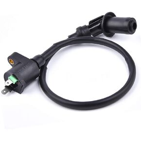 Ignition Coil for 150cc 250cc Go Kart Dune Buggy 6.000.257 Scooter Motorcycle ATV Quad Moped