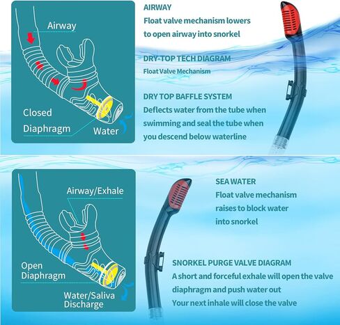 قناع الغطس، مجموعة حزمة الغطس والغوص مع صمام تطهير زجاجي مطلي مضاد للضباب وقطعة فم من السيليكون المضاد للرذاذ للرجال والنساء in Kuwait