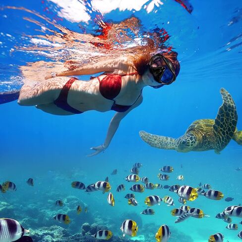 قناع الغطس، مجموعة حزمة الغطس والغوص مع صمام تطهير زجاجي مطلي مضاد للضباب وقطعة فم من السيليكون المضاد للرذاذ للرجال والنساء in Kuwait