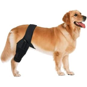 Dog Knee Brace for ACL & Ligament Injuries | Adjustable Back Leg Support & Compression Wrap | Helps with Patella Dislocation, Osteoarthritis & Sprains | Multifunctional Protection (Small)