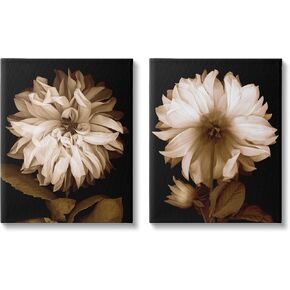 Stupell Industries Sepia Chrysanthemum Flower Blooms 2pc Canvas Wall Art Set, Design by Caroline Kelly