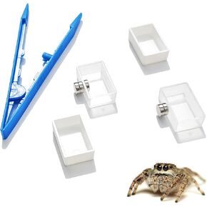 10 Pcs Jumping Spider Enclosure Kit, Magnetic Jumping Spider Feeding Dish, Mini Tarantula Water Dish, Tiny Reptile Feeding Tongs, Jumping Spider Accessories for Spoods and Other Small Pets