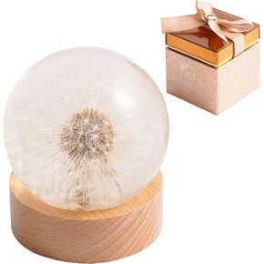 Dandelion Paperweight – Real Dandelion in Crystal Glass Ball, Unique Gift & Home Office Decor, Symbol of Luck, Hope, and Wishes for Birthday, Graduation, Wedding