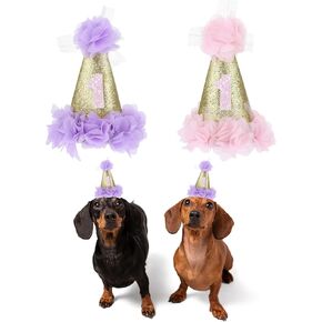 Dog Birthday Hat, 2 PCS Cat Birthday Hat 1st Pet Birthday Cone Hat Cute Dog Party Hat Adjustable Dog Crown Hat Headwear with Flowers Accessories for Cats Dogs Kids First Birthday Party Supplies