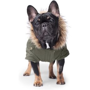 Canada Pooch Winter Dog Coat Water-Resistant Insulated Dog Jacket Faux-Fur Trim Dog Parka Coat for Dogs - Army Green, Size 10