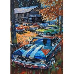 Sanjee Diamond Painting Kits for Adults, 5D DIY Cars Round Full Drill Diamond Dots Paintings Diamond Painting Gem Art Craft for Home Wall Decor 12x16inch
