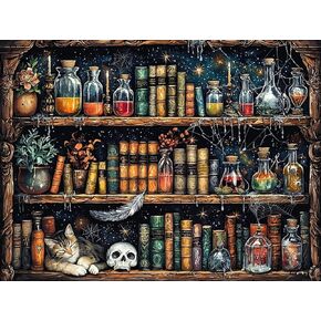 Books Paint by Number for Kit Adults, Bookshelf Painting by Numbers for Beginner, Acrylic DIY Easy Painting by Numbers Kits on Canvas, Digital Oil Number Painting Kits for Home Wall Decor 20X16 Inch