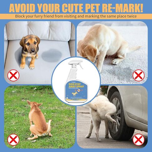 32oz Not Here Dog Spray for Dogs to Stop Peeing | Pet No More Marking for Indoors & Outdoor Use | Dog Stay Away Here No More Pee in Kuwait