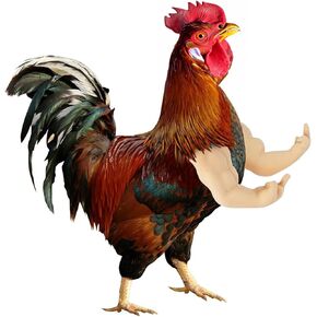 Chicken Arms for Hens – Fun, Durable, Artificial Muscle Arms Toy – Perfect for Parties, Photoshoots and Pranks