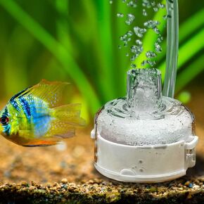 DONGKER Aquarium Nano Sponge Filter,Detachable Quiet Small Filter with Air Stone for 1-5 Gallon Aquariums Fish Tank (Air Pump not Included)