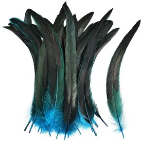 ريش ذيل الديك الطبيعي 10-12 بوصة 100pcs لعروض حفلات الزفاف DIY Halloween Party Hats (Aqua Blue)