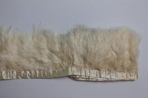 2 ياردة طويلة تركيا زغب الريشة Feather تقليم ، 3 "-4" الارتفاع ، والمواد الزخرفية ديي ريشة (لون الشمبانيا) in Kuwait