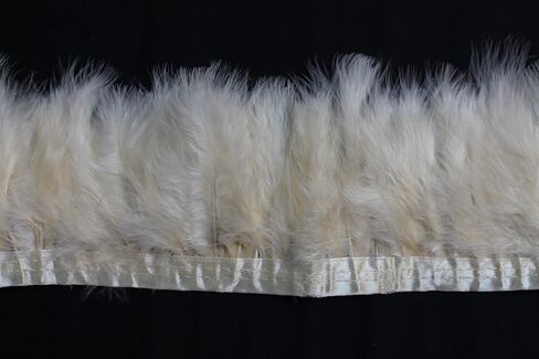 2 ياردة طويلة تركيا زغب الريشة Feather تقليم ، 3 "-4" الارتفاع ، والمواد الزخرفية ديي ريشة (لون الشمبانيا) in Kuwait