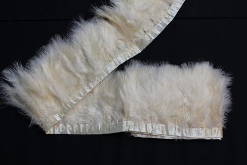 2 ياردة طويلة تركيا زغب الريشة Feather تقليم ، 3 "-4" الارتفاع ، والمواد الزخرفية ديي ريشة (لون الشمبانيا) in Kuwait