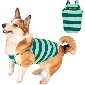 Stripe Rib Tank for Dogs - Embroidered Dog Tank Top (Green/Sky Blue, Medium)