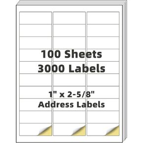Shipping Address Labels,1" x 2-5/8" 3000 Blank Mailing Shipping Labels (30 Labels per Sheet,100 Sheets), Printable White Sticker Labels Compatible with Laser and Inkjet Printers,1"x2.63"