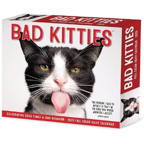 Willow Creek Press Bad Kitties Daily 2025 Box/Desk Calendar (5.86" x 4.72")