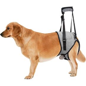 Dog Lift Harness for Large Dogs, Dog Sling for Medium Large Dogs Hind Leg Support, Adjustable Soft Padded Dog Support Harness for Back Legs for Elderly, Injured, Arthritic, Disabled Dogs, XL