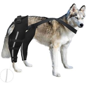 Dog Knee Brace for Torn ACL Hind Leg, Dog Leg Braces for Back Leg, Adjustable Leg Support for Large and Small Dogs with ACL, CCL, Cruciate Ligament Injuries M