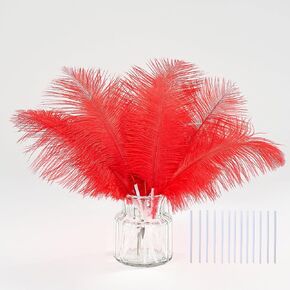 35pcs Natural red Ostrich Feathers Total Length 10-12 inch Craft Feather Making Kit Plume Bulk for hats Wedding Party Centerpieces,DIY Flower and Home Decoration,Pampas Grass Decor