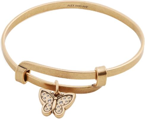 Alex and Ani AA540222RS,Statement Motivation Expandable Bangle Bracelet, Moon,Rafaelian Silver,Silver, Bracelets in Saudi Arabia