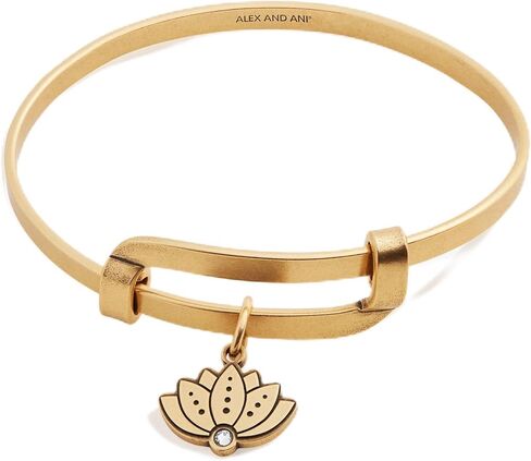 Alex and Ani AA540222RS,Statement Motivation Expandable Bangle Bracelet, Moon,Rafaelian Silver,Silver, Bracelets in Saudi Arabia