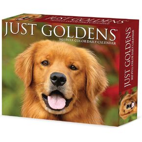 Willow Creek Press Goldens Daily 2025 Box/Desk Calendar (5.86" x 4.72")