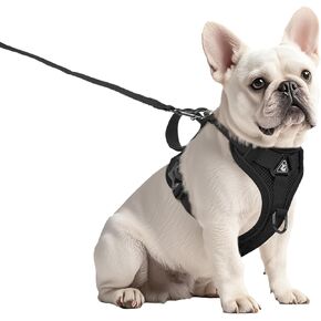 Small Dog Harness and Leash Set Adjustable Tactical Vest Breathable Puppy Harness with Handle for Walking Reflective Jacket XS Dog Harness