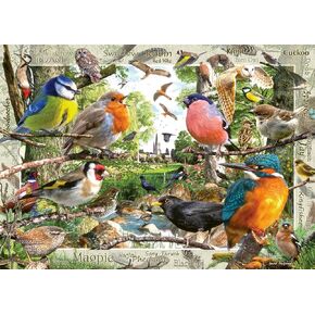 Ravensburger Our Feathered Friends 1000 Piece Jigsaw Puzzle for Adults | Unique, Pieces | Anti-Glare Surface | FSC Certified, Eco-Friendly | Amazon Exclusive