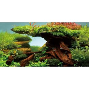 AWERT 72x18 inches Wood Fish Tank Background Seaweed Aquarium Background River Bed & Lake Aquarium Background Vinyl Background