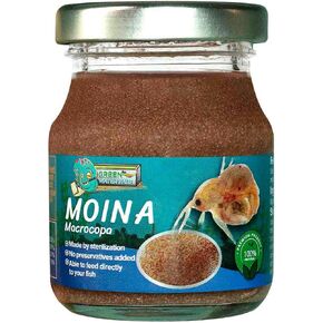 Greenwaterfarm Moina Macrocopa (برغوث الماء) جرة معقمة مناسبة لتوسيط الأسماك والأسماك الصغيرة والأسماك حديثي الولادة