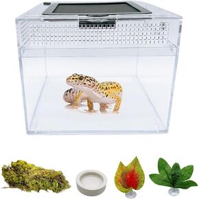 Mini Reptile PC Terrarium ، 8 "x8" x7 "مجموعات لبدايات الدبابات الزواحف مع عرض كامل جذاب ، قفزة عنكبوت ، قفص الرخا ، دبابات موائل التهوية لليزارد Gecko Snake Frog Ensect