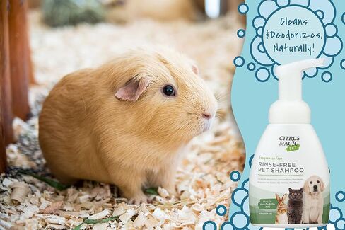 Citrus Magic Pet Rinse-Free Pet Shampoo, 8-Fluid Ounce, Pack of 2 in Saudi Arabia