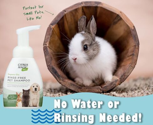 Citrus Magic Pet Rinse-Free Pet Shampoo, 8-Fluid Ounce, Pack of 2 in Saudi Arabia