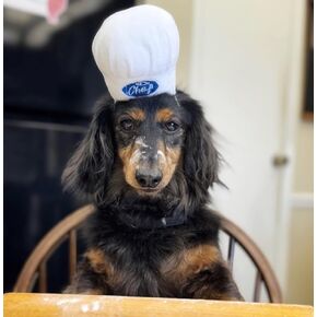 Dog Chef Hat Costume, Cute Adjustable Soft Pet Hats for Small Medium and Large Dogs Cat Cosplay Costume Hat for Halloween, Christmas, Parties (Pet Head Circumference 6-20 inches)
