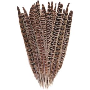10 Pcs Long Pheasant Tail Feathers Natural Pheasant Feathers Floral Arrangement Feathers Feather Wedding Centerpiece Home Party Decorations Craft Supplies