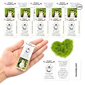 30 Pcs Pocket Hug Token Bulk Little Penguin, Mini Cute Special Hug Penguin Gift with Greeting Card Special Positive Encourage Penguin Gifts, Gift for Women Friend Colleagues Teachers Nurses Family