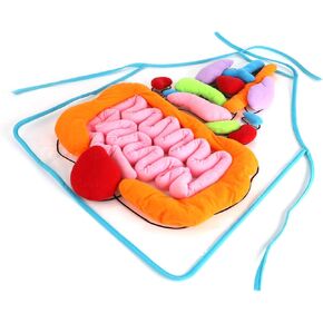 VoCheer 3D Organ Apron ، Anatomy وعلم وظائف الأعضاء ، نموذج جسم الإنسان للأطفال ، Montessori Educational Toys for Homeschool Preschool Kits for Kids أكثر من 3+ ، شفاف