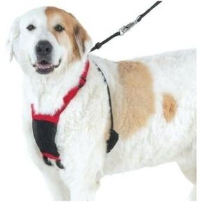 Yuppie Puppy Anti-pull Mesh Harness Large/xlarge by Sporn