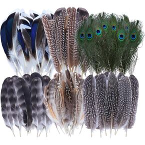 Avxzbef 50 Pieces Non Handmade Feathers Pheasant Speckled Turkey Peacock Feathers 6 Styles for DIY Crafts Hats Flower Arrangement Holiday Wedding Home Party Decoration