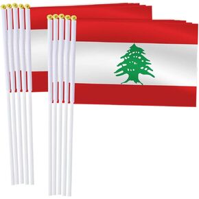 25 حزمة للبنان علم صغير باليد ، ميني لاباني يدوية مصغرة ديكور عصا مصغرة