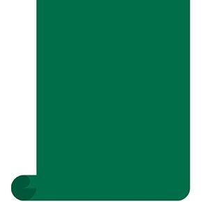 Siser EasyWeed Heat Transfer Vinyl HTV for T-Shirts 12 Inches by 6 Feet Roll (Green)