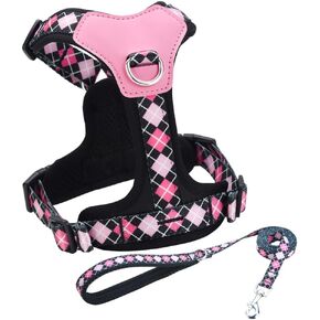 Medium Dog Harness and Leash Set, No Pull Dog Harness with 2 Leash Clips, Anti-Escape Easy Walk Puppy Harness, Adjustable Dog Vest Harness for Training Walking for Medium Dogs(Purple, M)