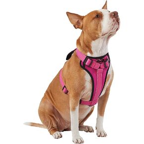 KONG Max Ultra Durable Neoprene Padded Chest Plate Dog Harness Offered by The Barker Company (Pink, Medium)